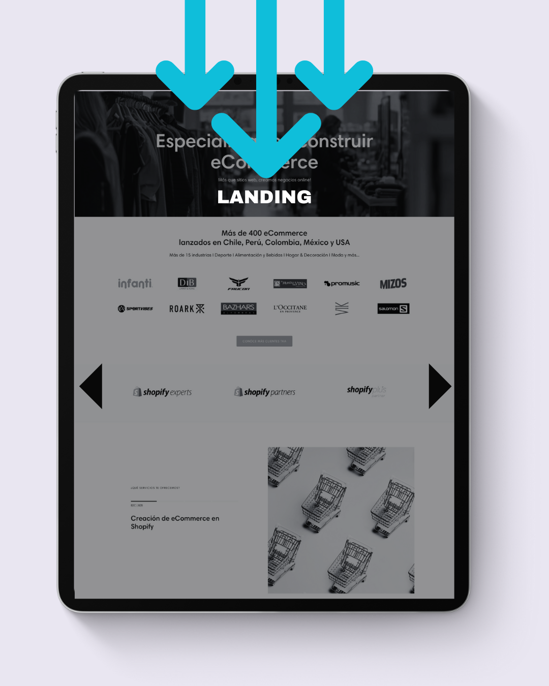 Creación de Landing Especial de Promociones y/o Destacados - TheKickass Company