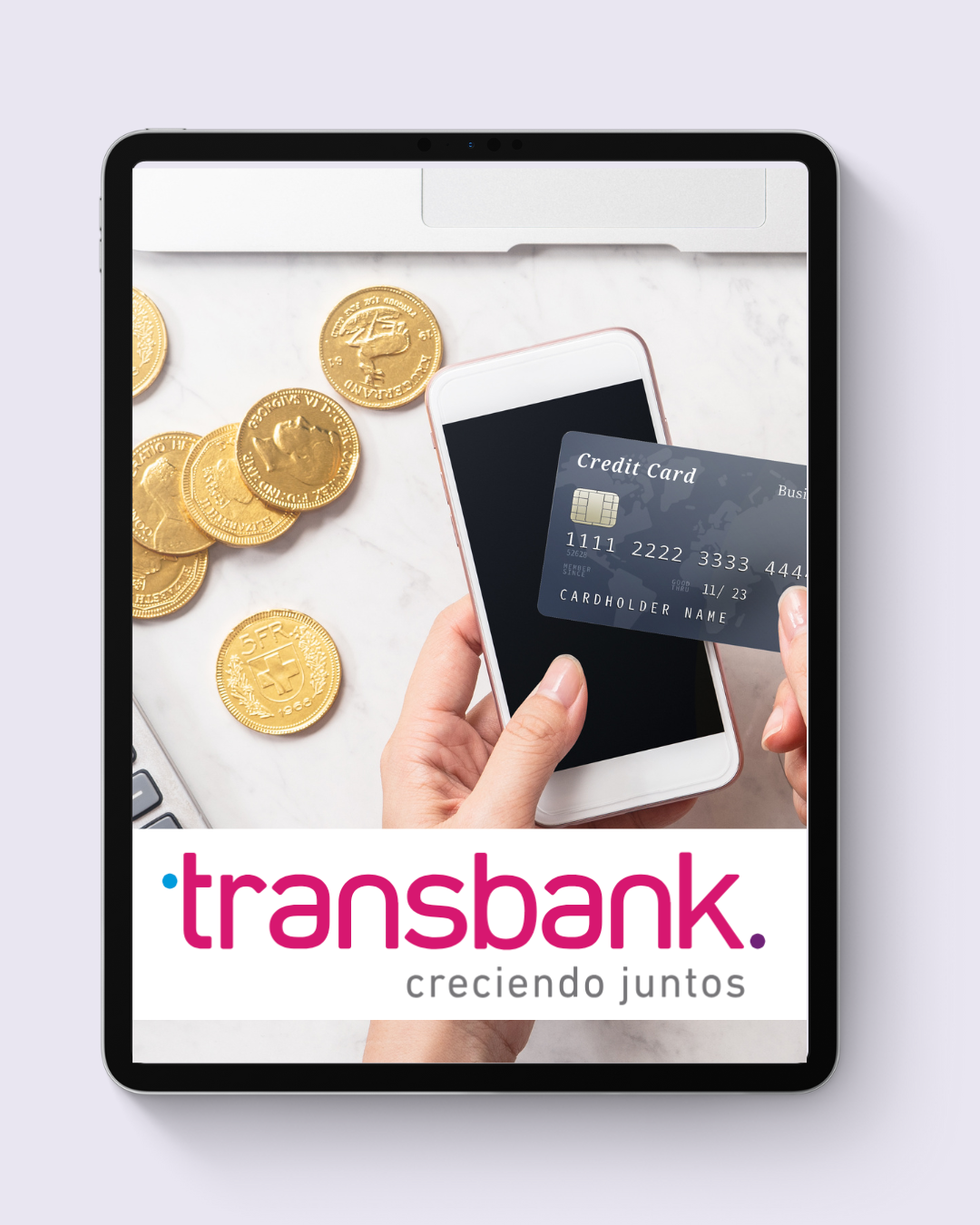 Integración con Transbank