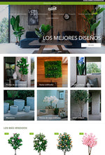 Vadell - TheKickass Company